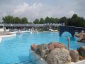 080614_rheine_1