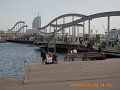 DSCI0285
