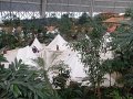 SDC10685