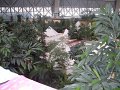 SDC10686