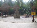 SDC10695