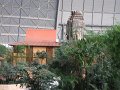 IMG_0023