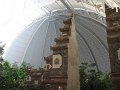 IMG_0057
