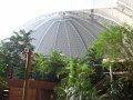 IMG_0061