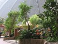 IMG_0064