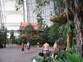 IMG_0065