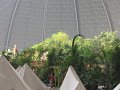 IMG_0078
