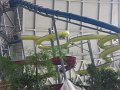 IMG_0082