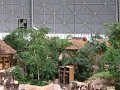 IMG_0091