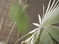 IMG_0100