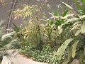 IMG_0104