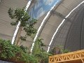 IMG_0106