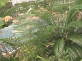 IMG_0114