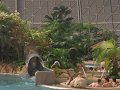IMG_0126