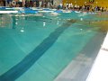 DSC02118