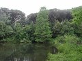31_Teich