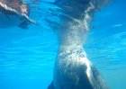 45_wer_hat_mich_beim_schwimmen_fotografiert